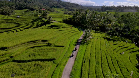 people on scooters exploring rural bali