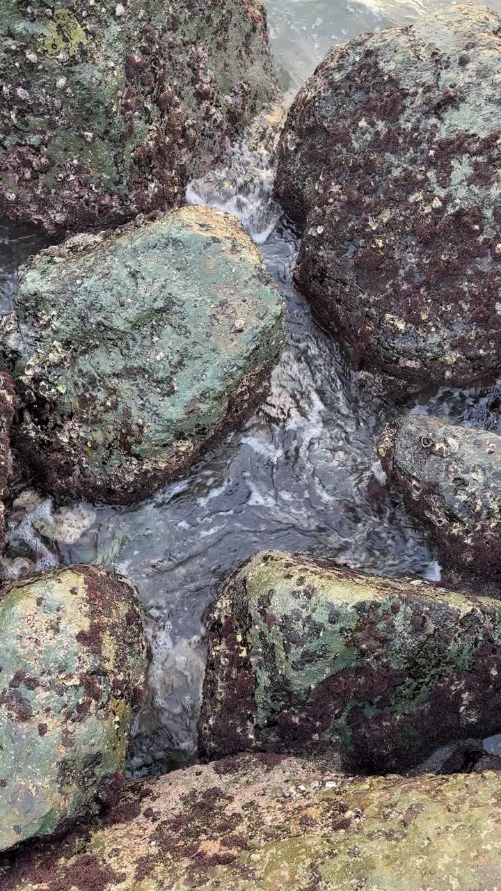 Acqua dell'oceano che scorre tra rocce muschiose sulla costa