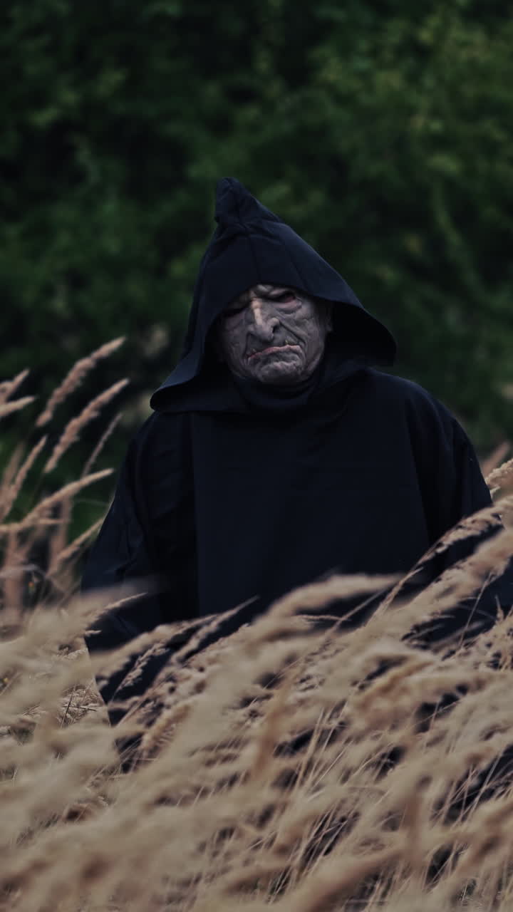 Wheat field and horrible ghost among nature. Dark figure appearing among ripe wheat on green trees background. Halloween concept. Vertical video