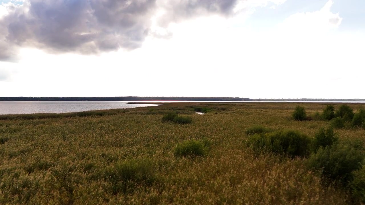 Luftfoto over underskov mod Kisezers-søen, Letland