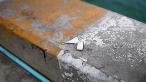 chopped fish bait on the hua hin fishing pier in prachuap khiri khan, thailand