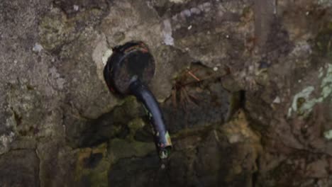 pozo pequeño - fuente con agua goteando lentamente en la piscina con hojas de otoño