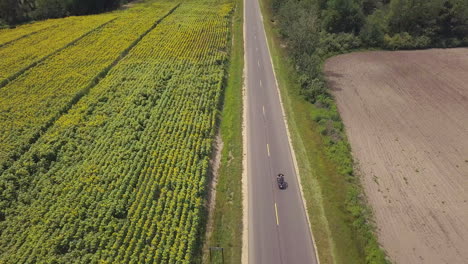 Aerial-view-of-motorcycle-driving-on-country-road-by-sunflower-field