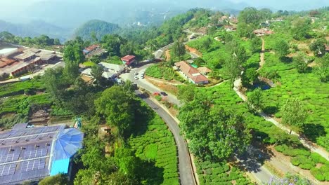 Plantación-De-Té-En-India-Munnar-Asia-Fuera-De-La-Carretera-Toma-Aérea-Verdoso