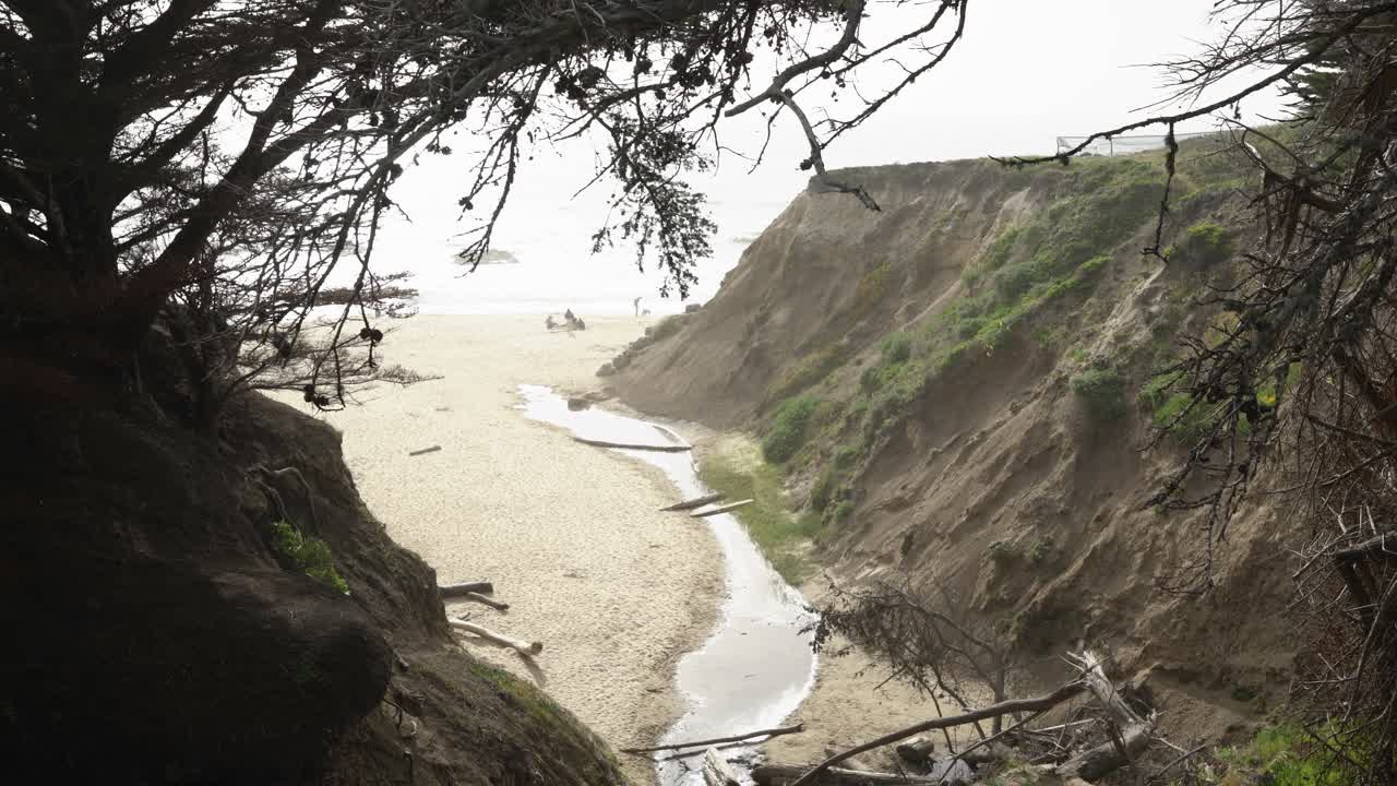 Water canal running towards the beach, a cliff and a tree
