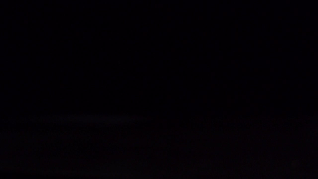 hamburguesa de semillas de sésamo negro