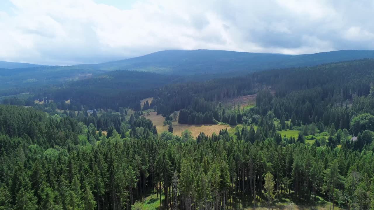 vista cinematográfica de un dron volando sobre un vasto bosque verde en las montañas