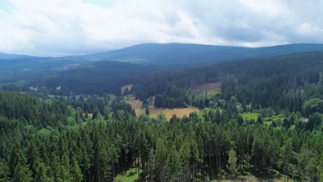 Vista-Cinematográfica-Desde-Un-Dron-Volando-Sobre-Un-Vasto-Bosque-Verde-En-Las-Montañas