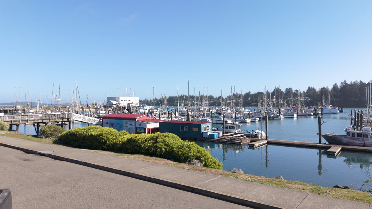 Charleston Oregon harbor. Drone aerial view of docked fishing boats. Ascending shot