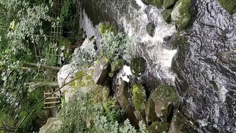 VERTICAL-slow-motion-stream-cascading-through-rocky-Welsh-dense-woodland-forest-nature-reserve