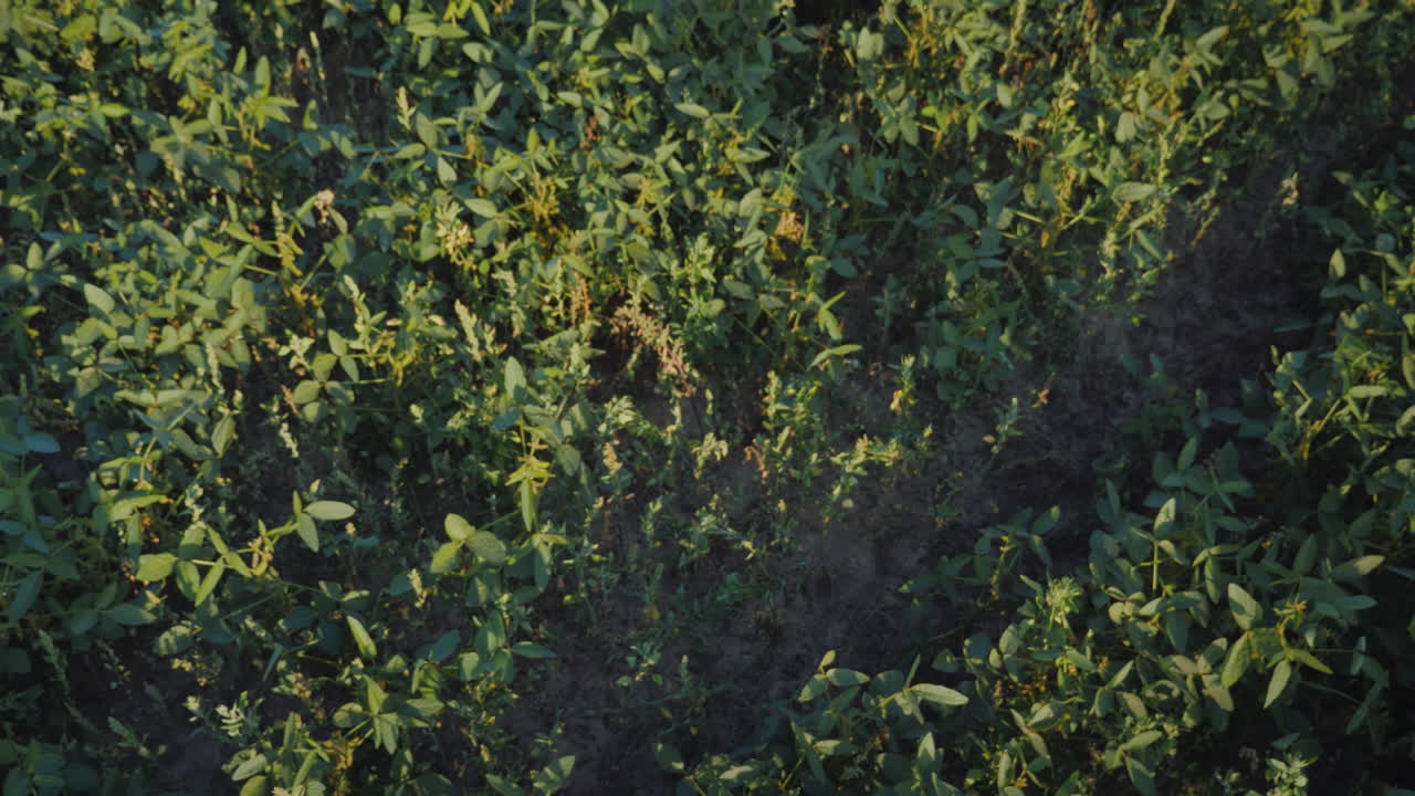 농부는 다양한 야채 유기농과 농산물 세트가 있는 나무 상자를 들고 있습니다.