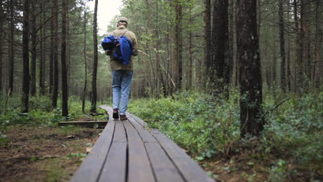 ground view slomo of young man walking through forest on wooden planks