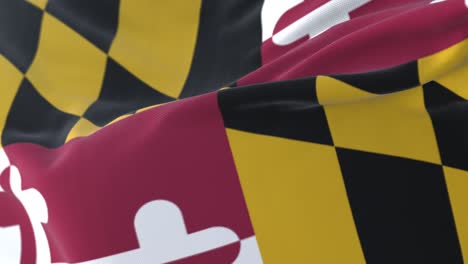 flag of american state of maryland, united states, waving at wind. loop