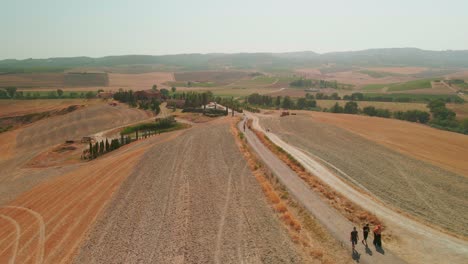 turistas que visitan los cipreses de san quirico d'orcia durante un día soleado en toscana, italia - toma aérea de drones