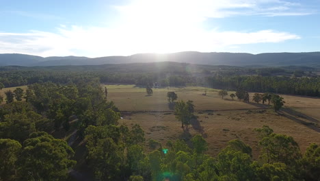 Countryside-sunflare-over-paddock