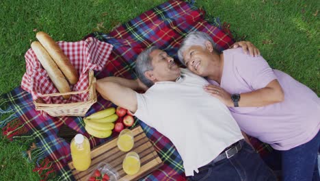Video-Eines-Glücklichen-Gemischtrassigen-Seniorenpaares-Beim-Picknick-Im-Garten