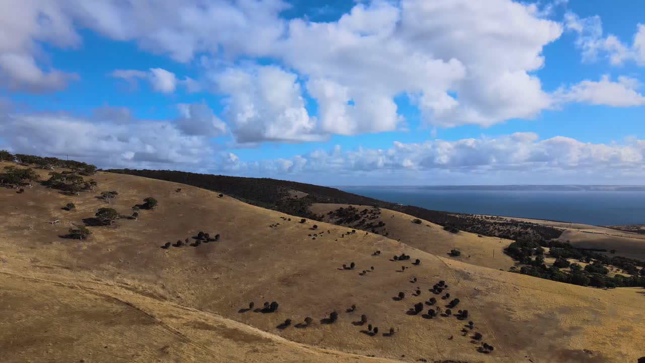 여름에 fleurieu 반도를 통해 드론 비행