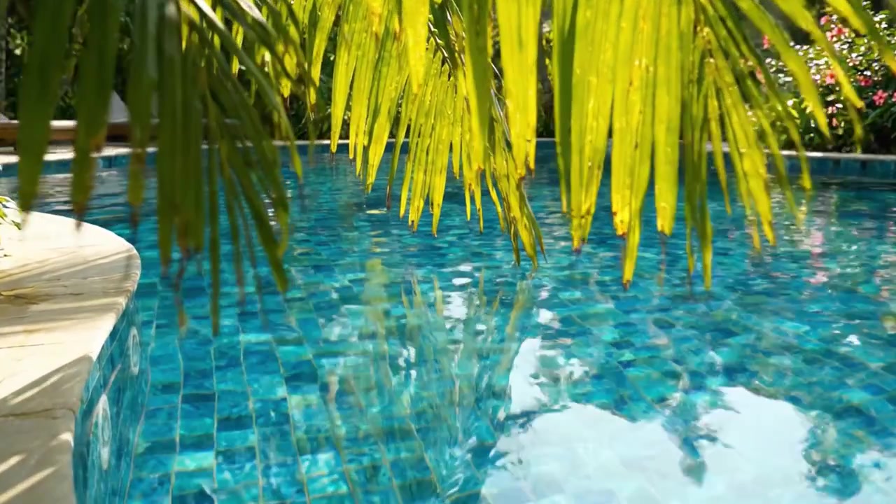 Fredfyldt oase: En rolig udsigt over en funklende pool omgivet af frodigt grønt og levende tropiske blomster.