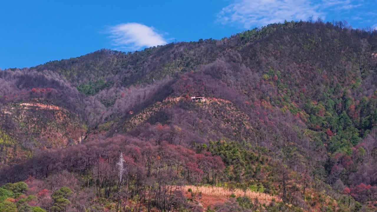 Oaxaca’nın Sierra Norte bölgesindeki sonbahar mevsimi manzaralarının drone ile çekilmiş görüntüsü