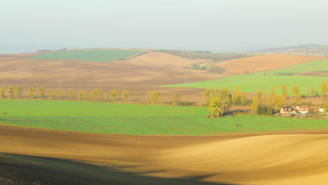 a view of a herd of deer passing through a field full of ripples overlooking a field and shadow moving during an afternoon sunny day in the moravian tuscany region capture in 4k 60fps.
