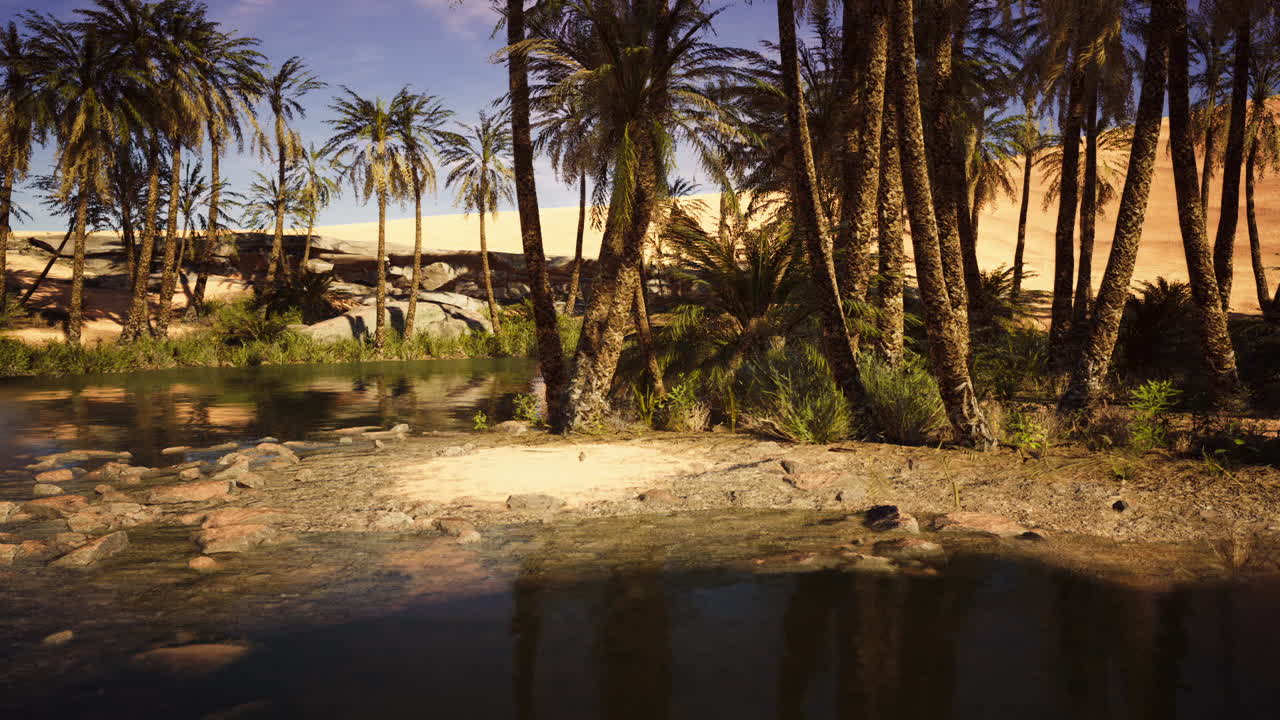 Oasi tranquilla circondata da palme e dune sabbiose durante il giorno.