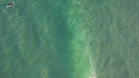 Revealed-Fishing-Pier-At-The-Spit-Main-Beach-In-Gold-Coast,-Queensland,-Australia