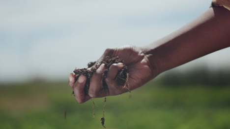 person holding soil in hand