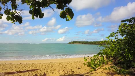 Ronroneando-En-Pinones-Puerto-Rico