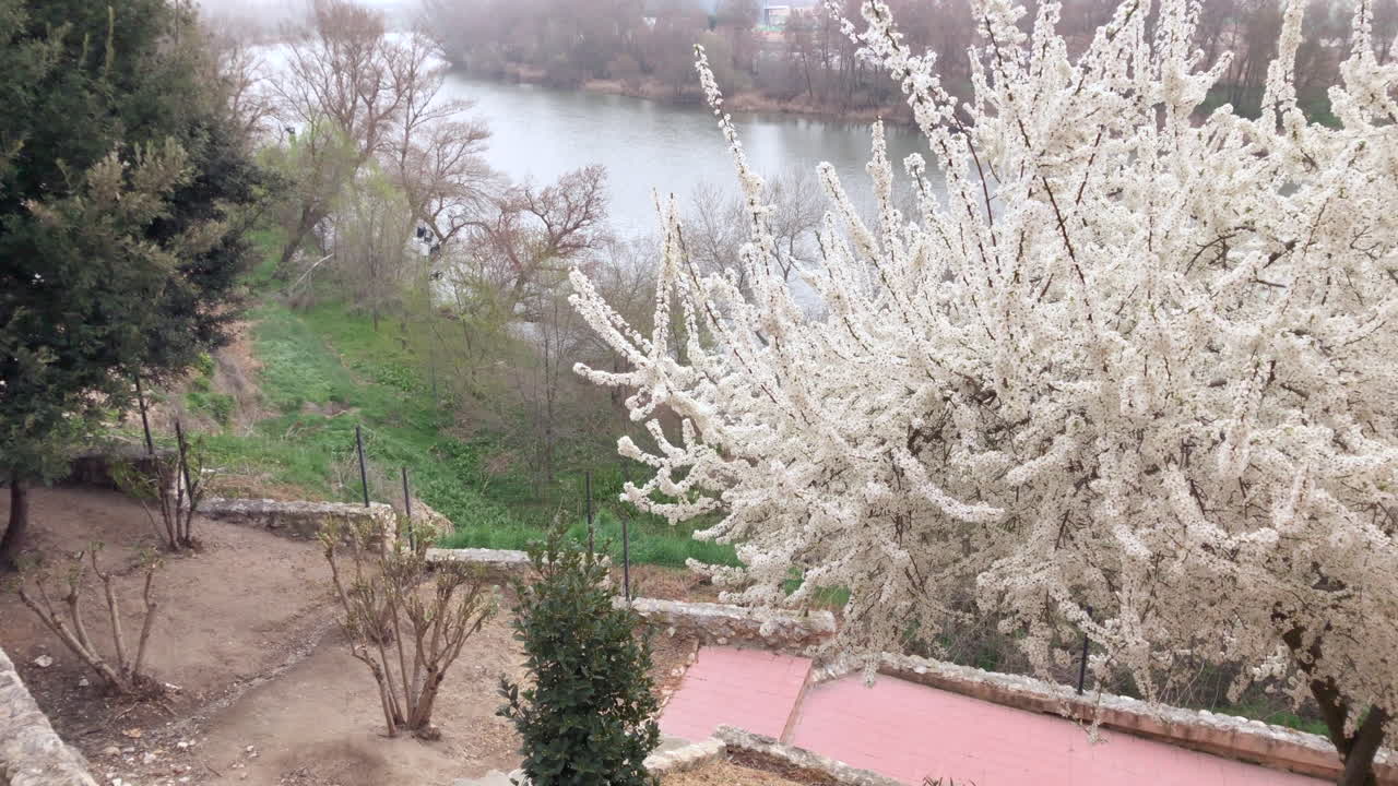 bahar çiçekleri, bahar çiçekleri