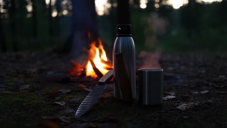 camping by the campfire