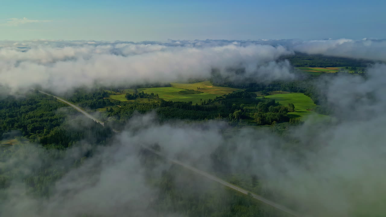 은 안개로 뒤인 아름다운 여름 아침의 시골 풍경의 공중 풍경