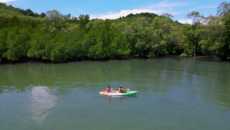 couple in a kayak in the ocean of phuket thailand, men and woman in a kayak at a tropical island with palm trees and mangrove forest.