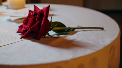 romantic rose and love letter