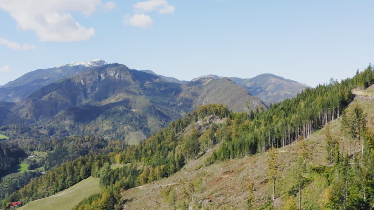 bosque con capas de montañas con pico nevado