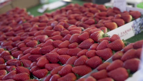 abundant fresh strawberries on display