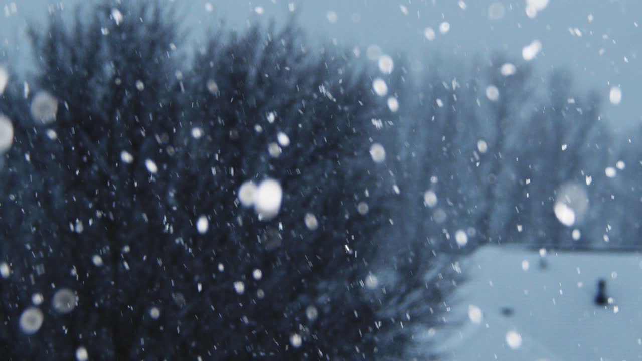 primer plano de la nieve cayendo en cámara lenta con árboles en el fondo