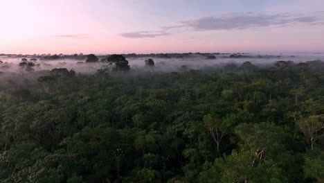 Aerial-drone-fly-view-of-scenic-sunrise-at-amazon-tropical-jungle-rainforest-with-vivid-fog-rays-in-the-morning-close-to-a-river-lake