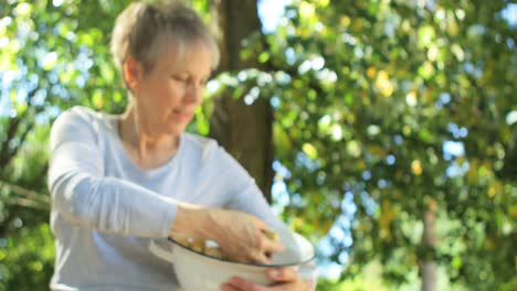 mujer mayor mostrando patatas en el jardín