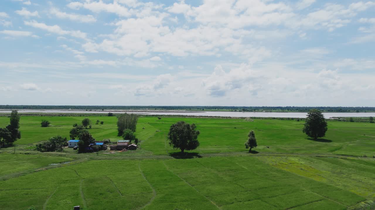 Aerial view of rice field and rural landscape