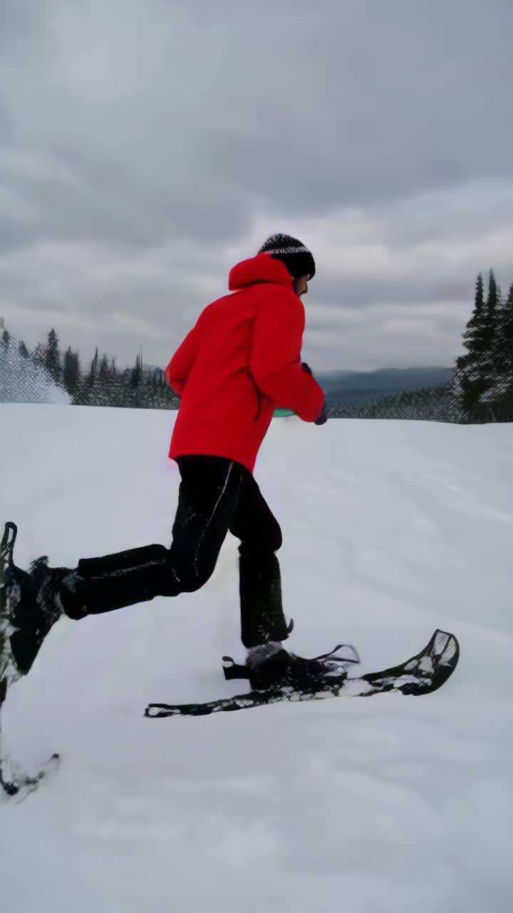 Person Snowshoeing in Snowy Landscape