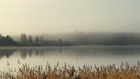 Paisaje-De-Río-Brumoso,-Niebla-En-La-Superficie-Del-Agua-En-Otoño,-Toma-Estática