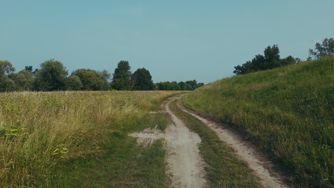 narrow dirt road curves gently through tall summer grass and open countryside