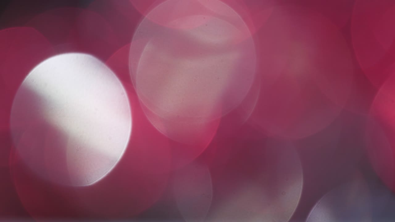 rojo real un blanco macro bokeh para superponer su película 4k