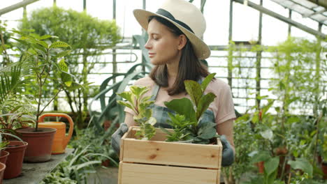 mujer haciendo jardinería en un invernadero