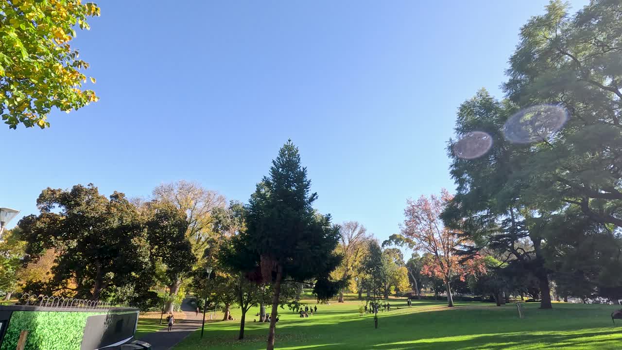 Panoramic view of trees and clear sky