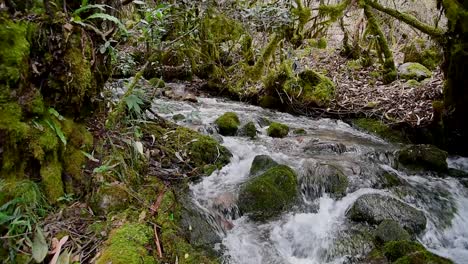 Static-shot-of-clean-water-flowing-by-Pumahuanca´s-creek-in-Urubamba-Cuzco