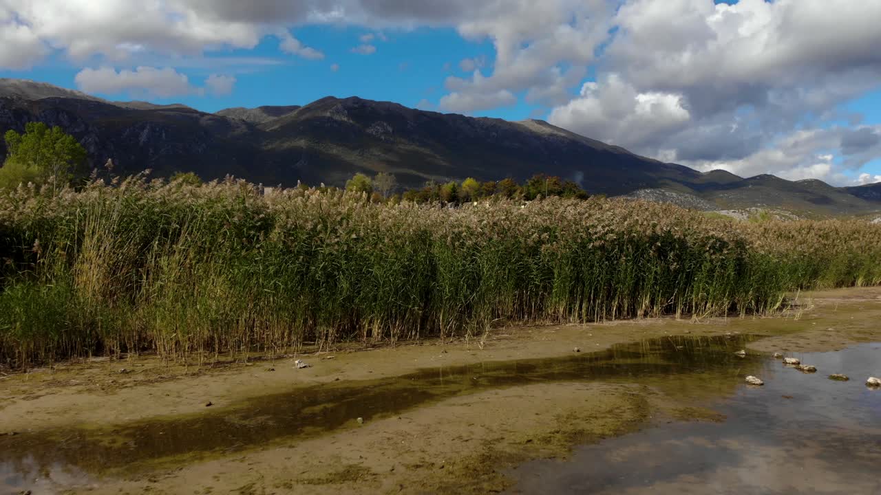 orilla virgen del lago natural con juncos cerca de aguas poco profundas que reflejan el cielo nublado