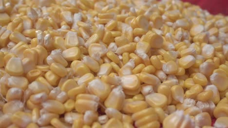 Maize-or-corn-has-become-a-staple-food-in-many-parts-of-the-world