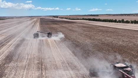 Explore-the-cutting-edge-machinery-and-precision-in-action-during-a-large-scale-lupin-harvesting-operation