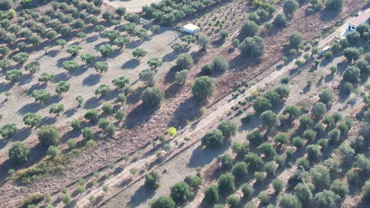 Aerial view of lush greenery in rural Greece during sunny weather